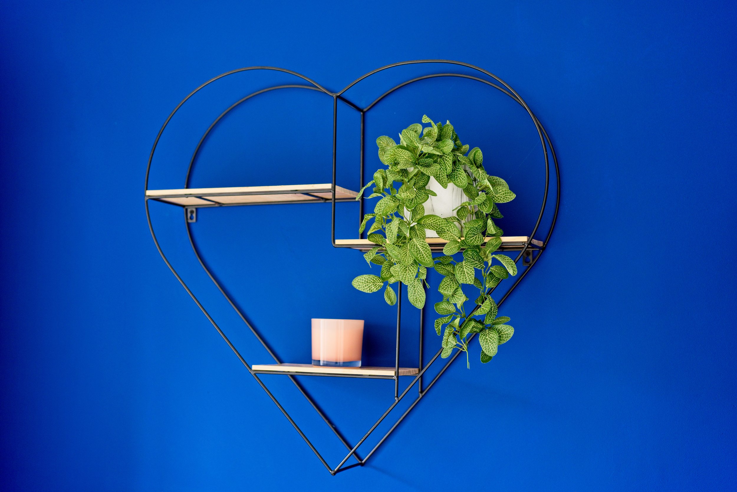A black heart-shaped metal wall shelf on a blue wall, with a green leafy plant and a pink candle on it. Property photography by photographer based in Southam, Warwickshire