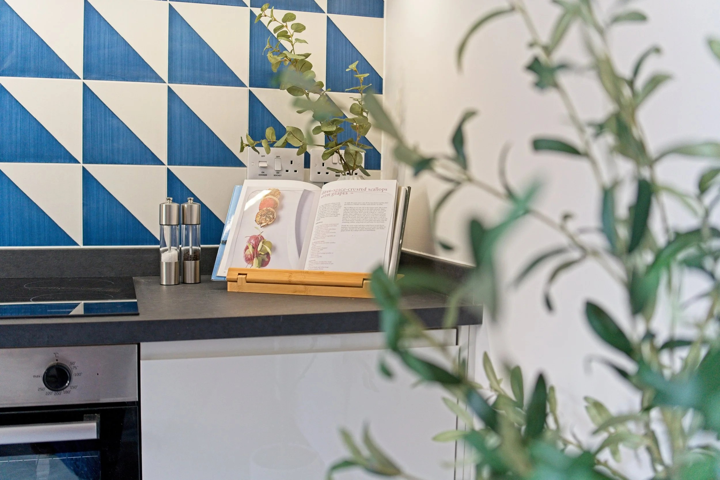 Kitchen countertop with salt and pepper shakers, open cookbook standing on a wooden rack, blue and white geometric tile backsplash, green plants in front and behind. Photography by photographer based in Southam, Warwickshire