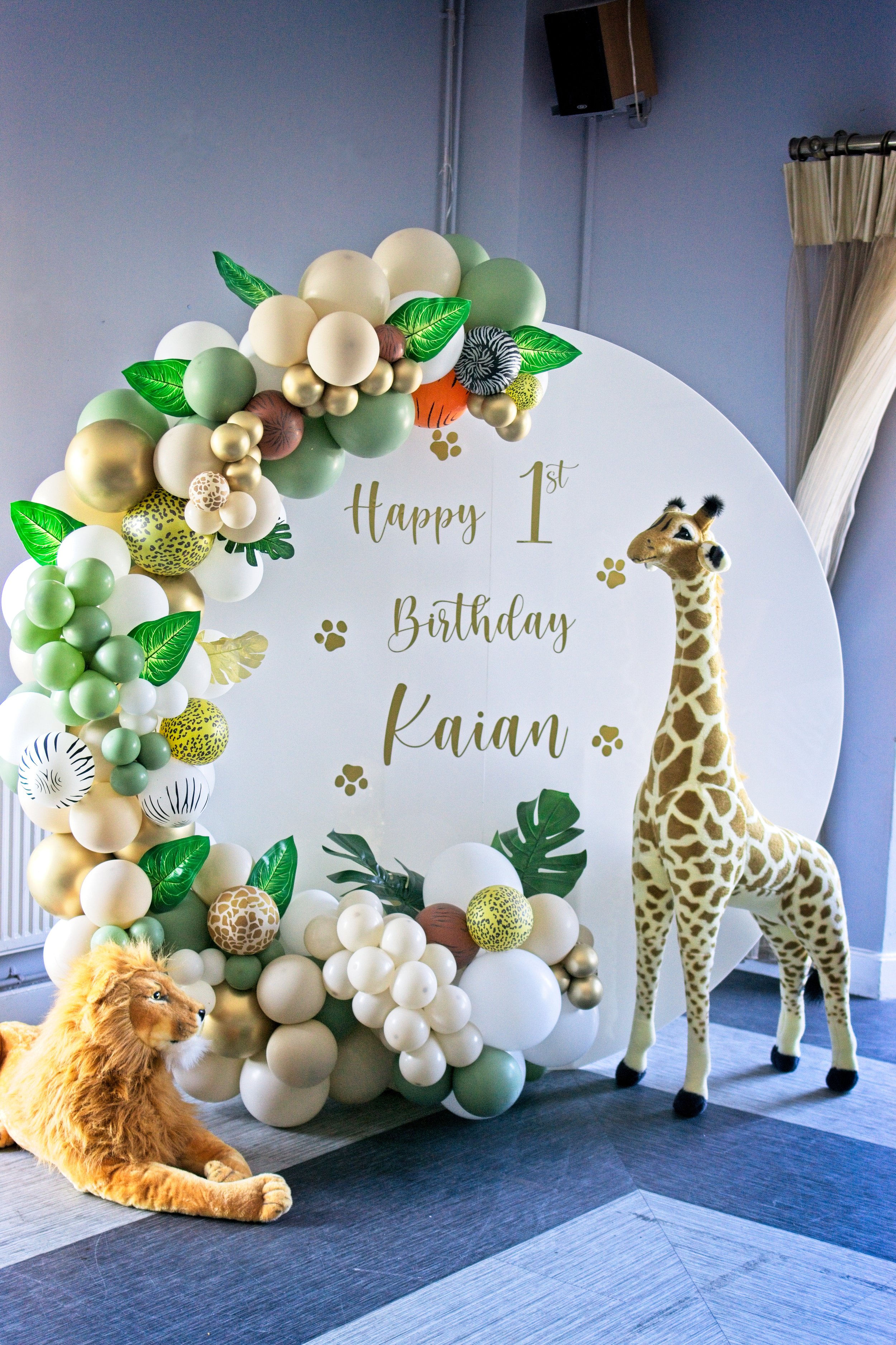 Birthday Party Photographer
