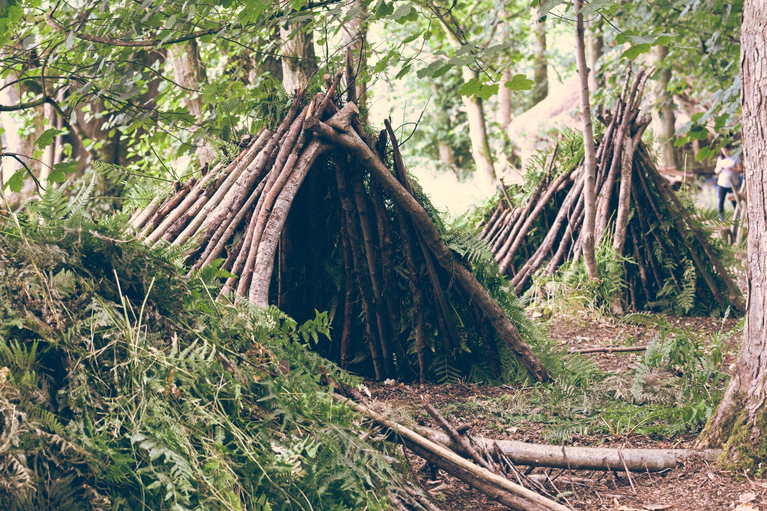 Two small makeshift teepees constructed from sticks and branches in a wooded forest area surrounded by ferns and trees. Event Photography by photographer based in Southam, Warwickshire.