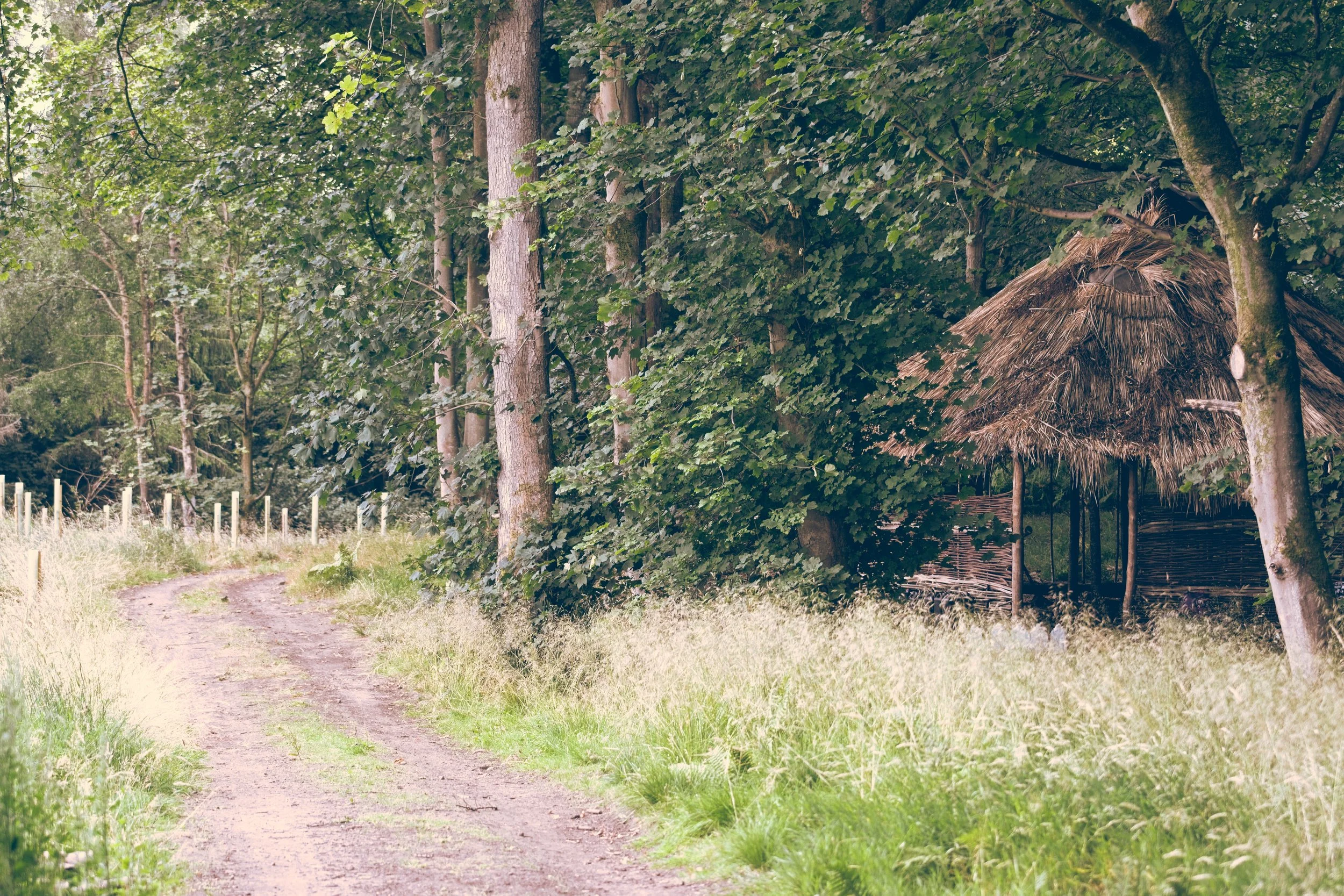 A dirt path curves through a grassy, wooded area with trees on either side. There is a small thatched hut partially visible among the trees on the right side of the image. Event Photography by photographer based in Southam, Warwickshire.