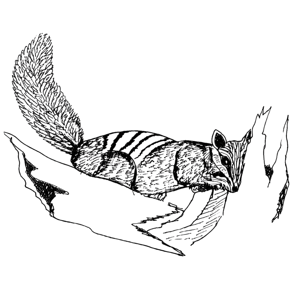 A stylized brown tree with branches and leaves on a black background.
