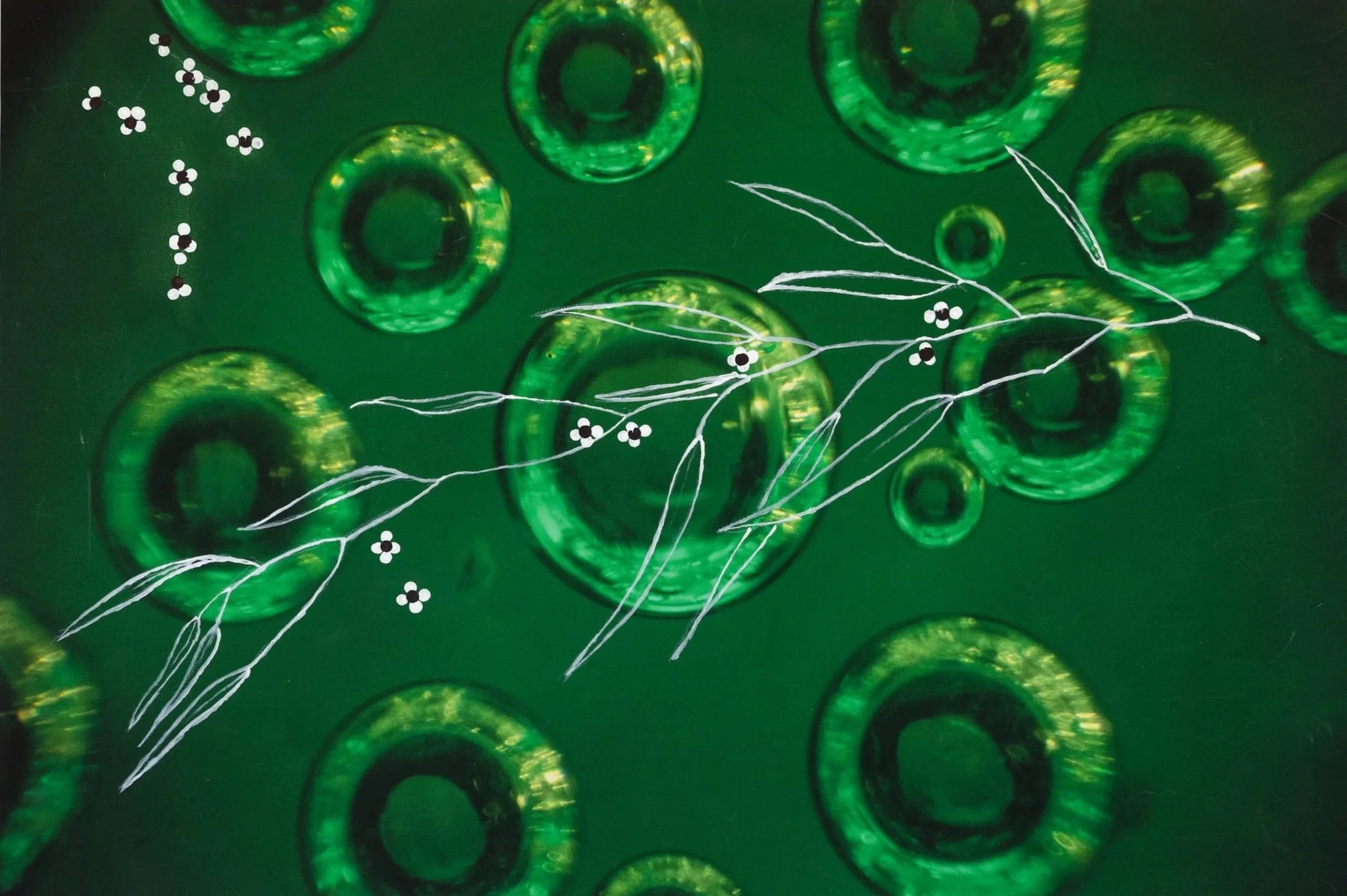 Green bubbles with white and black floral patterns and white lines on a green background.