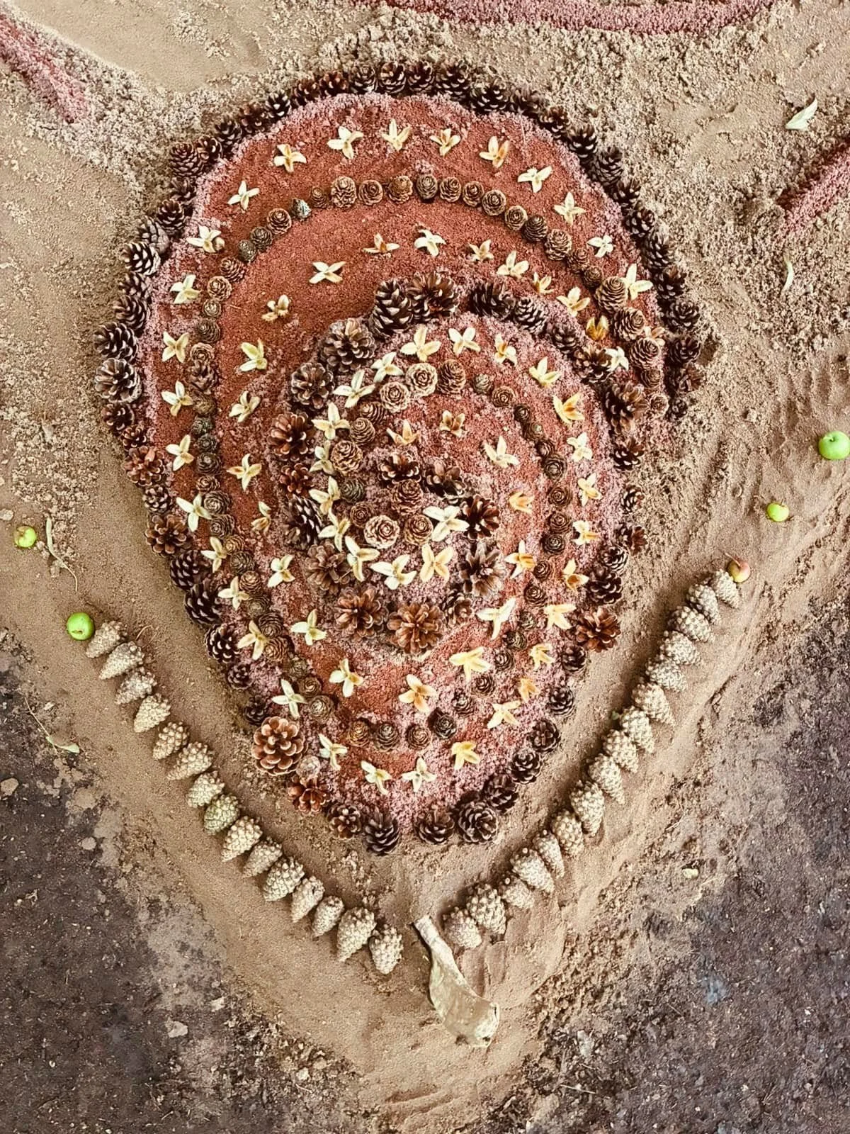 Heart-shaped sand art decorated with pinecones, small flowers, and seashells, surrounded by scattered pinecones and green fruits on the sandy ground.