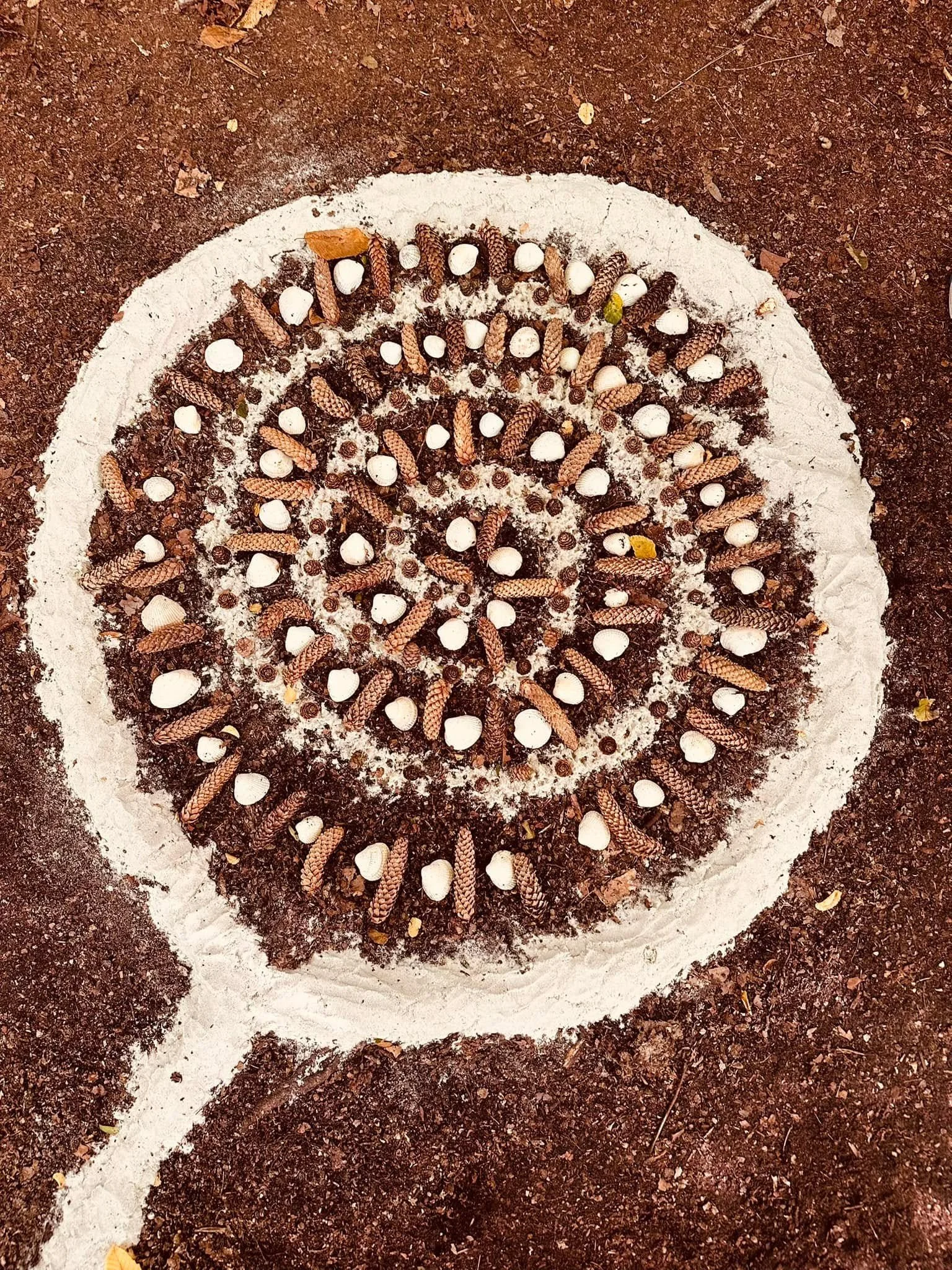 A spiral pattern made with pinecones and seashells on a circle of white chalk on dark soil ground.