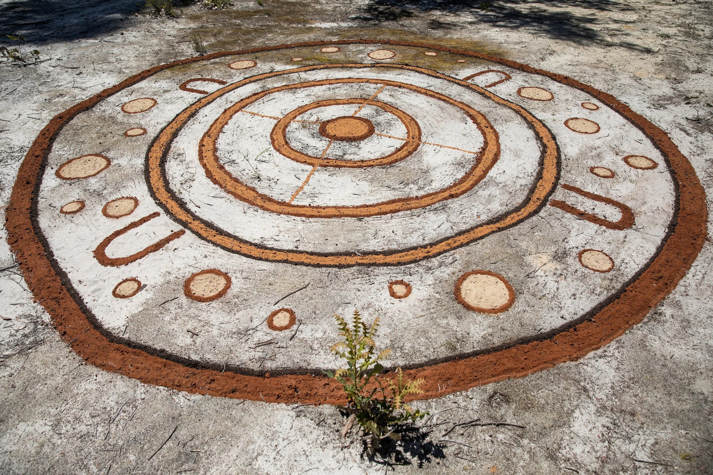 A large circular ground artwork of concentric ochre and white rings, land art laid out on Country