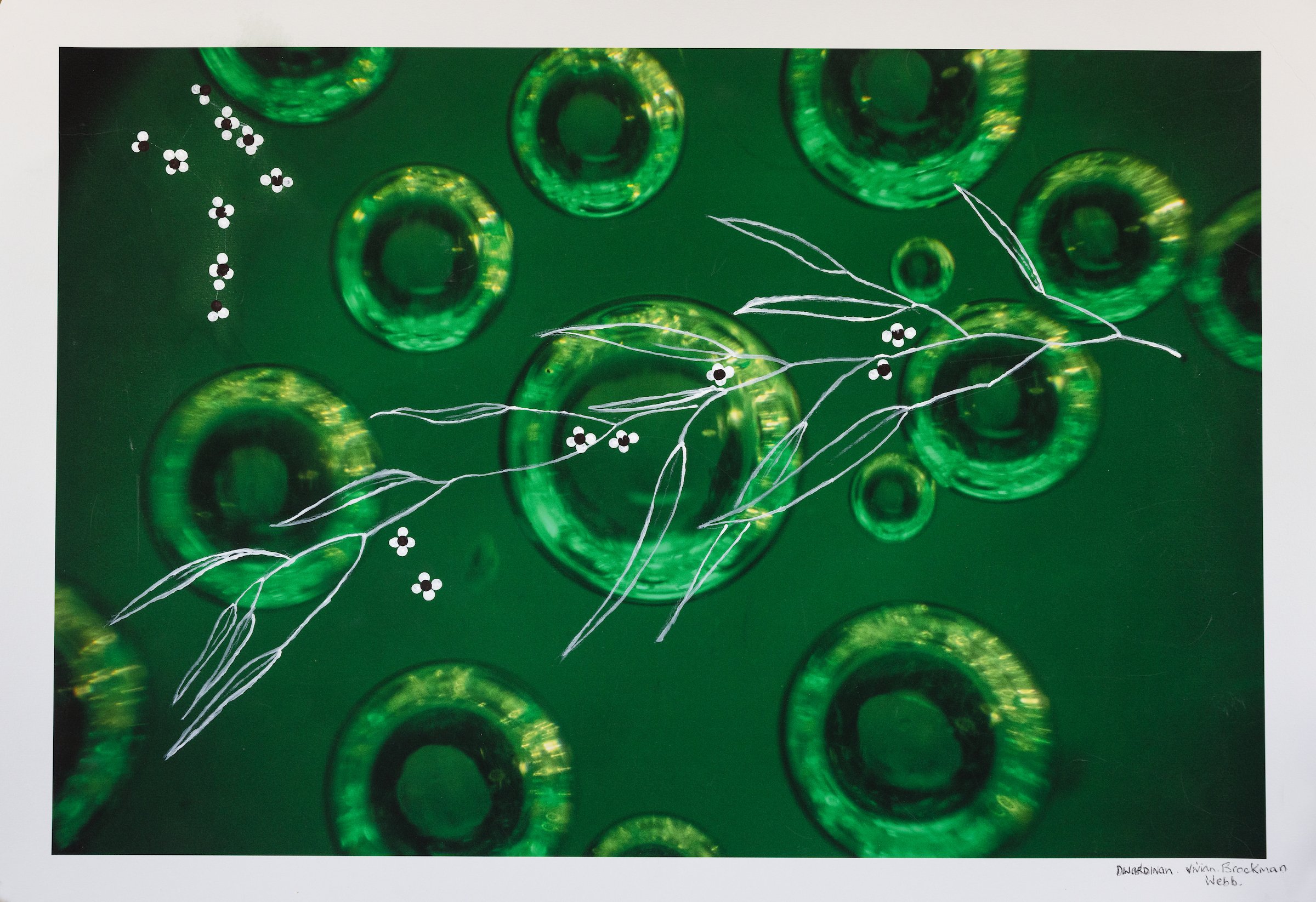 A watercolor painting with green and black circular shapes on a dark green background, accented with white botanical line drawings and small clusters of black and white dots.