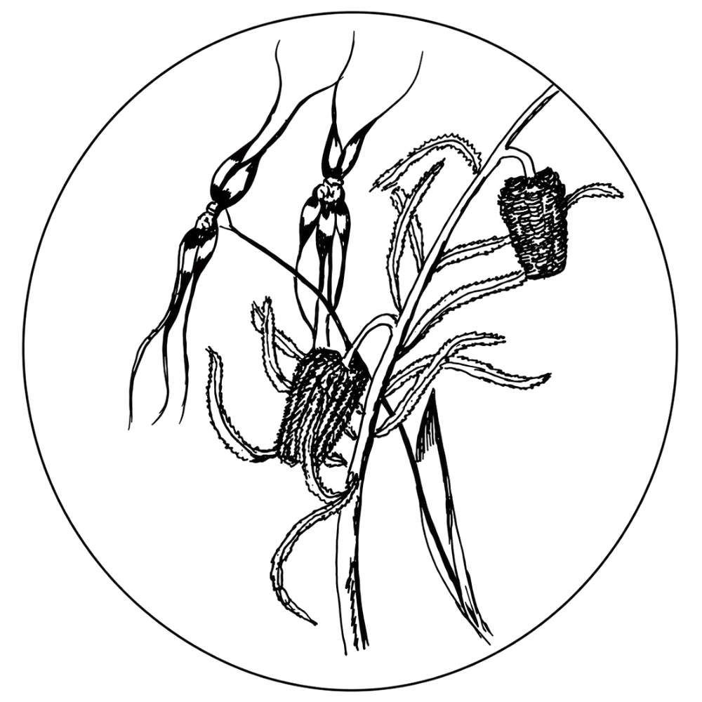 Illustration of a stylized brown tree with leaves and small circles around the branches.