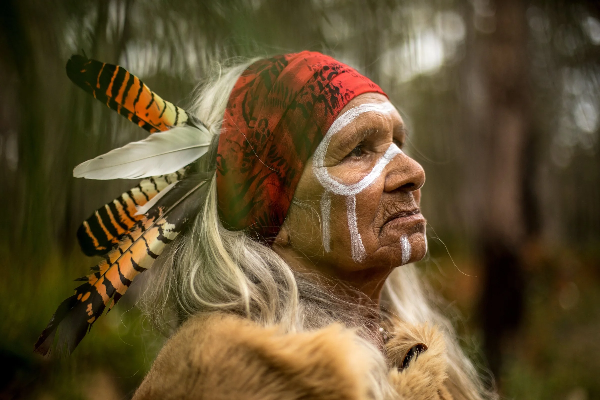 Portrait of an indigenous woman with traditional face paint, wearing a red headscarf and feather adornment, in a natural outdoor setting.