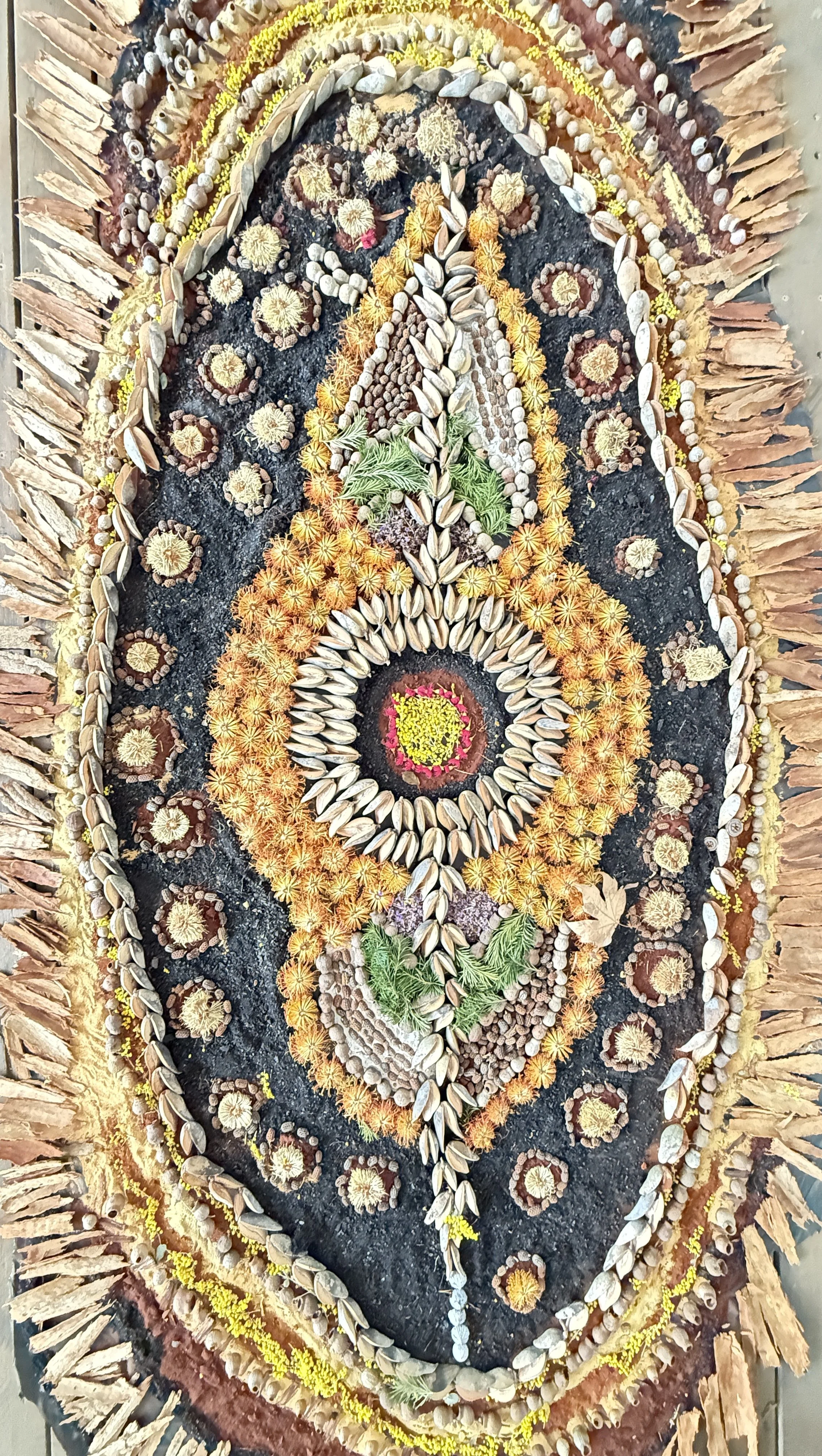 A detailed, colorful arrangement made with natural elements, including seeds, shells, dried plant parts, and petals, forming intricate patterns on a dark surface surrounded by a border of dried plant fragments.