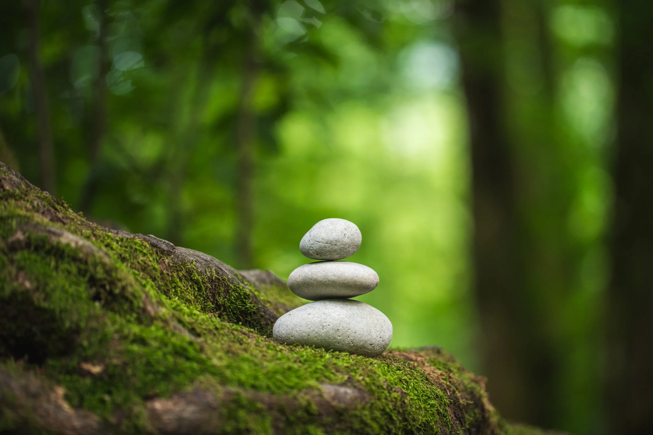 A stack of five small smooth stones balanced on top of each other on a moss-covered log in a green forest.
