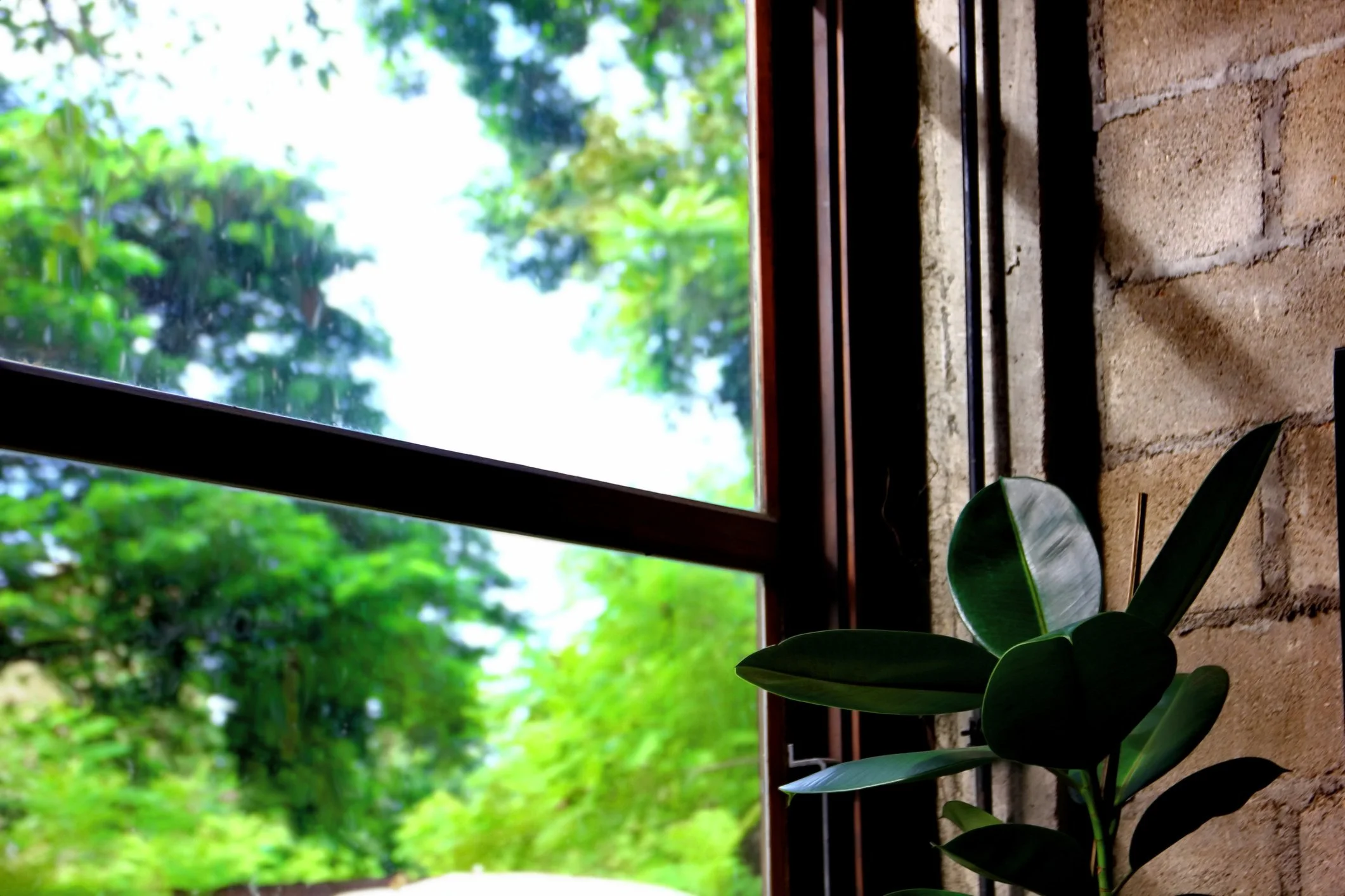View from an indoor window of green trees outside during daylight, with a plant and part of a brick wall and windowsill visible in the indoor space.