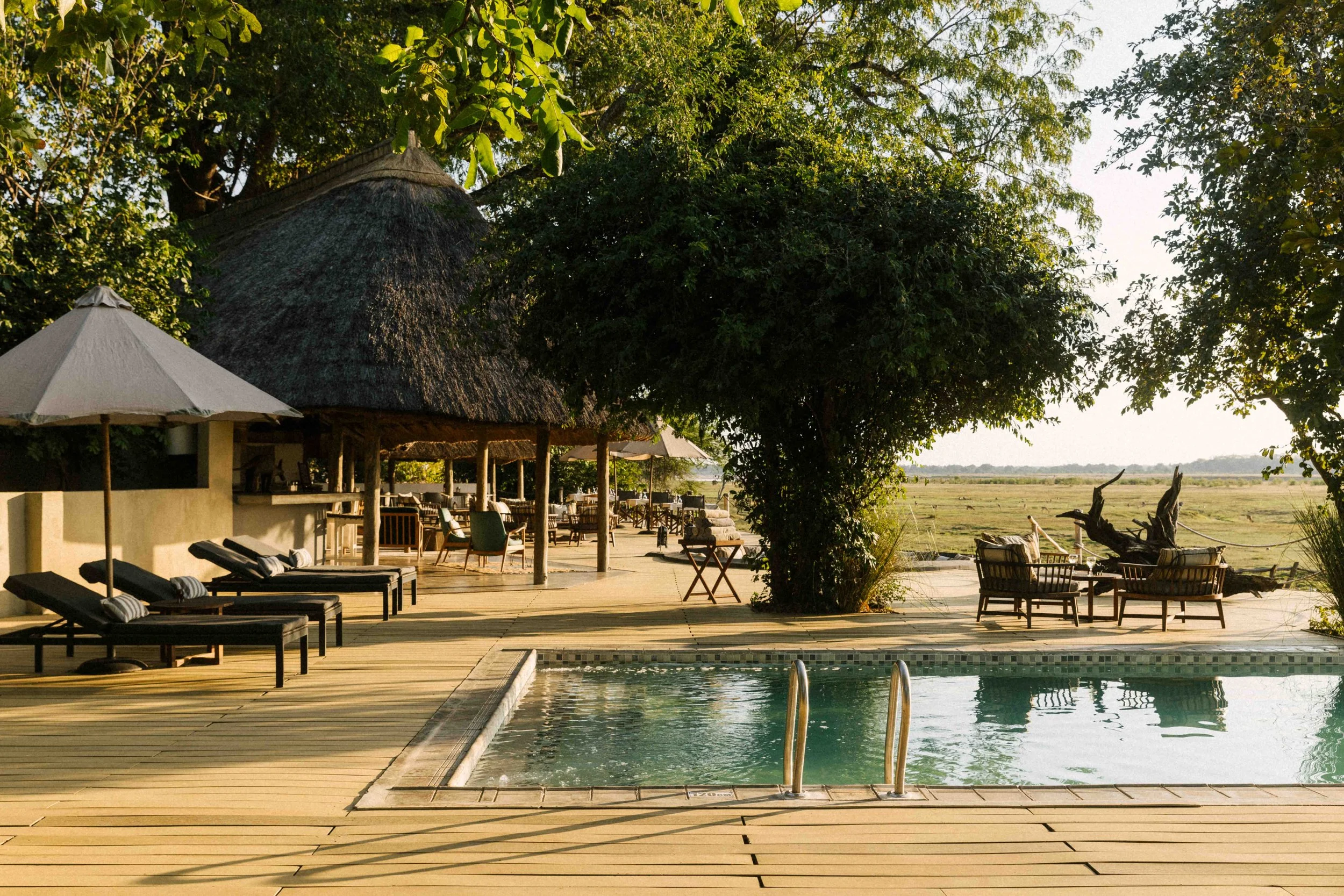 Outdoor pool area with lounge chairs and umbrellas, surrounded by trees and greenery, with a thatched-roof hut and a open landscape in the background.