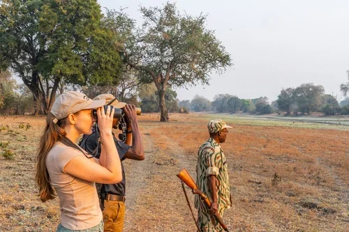 What to Expect on a Walking Safari in Zambia