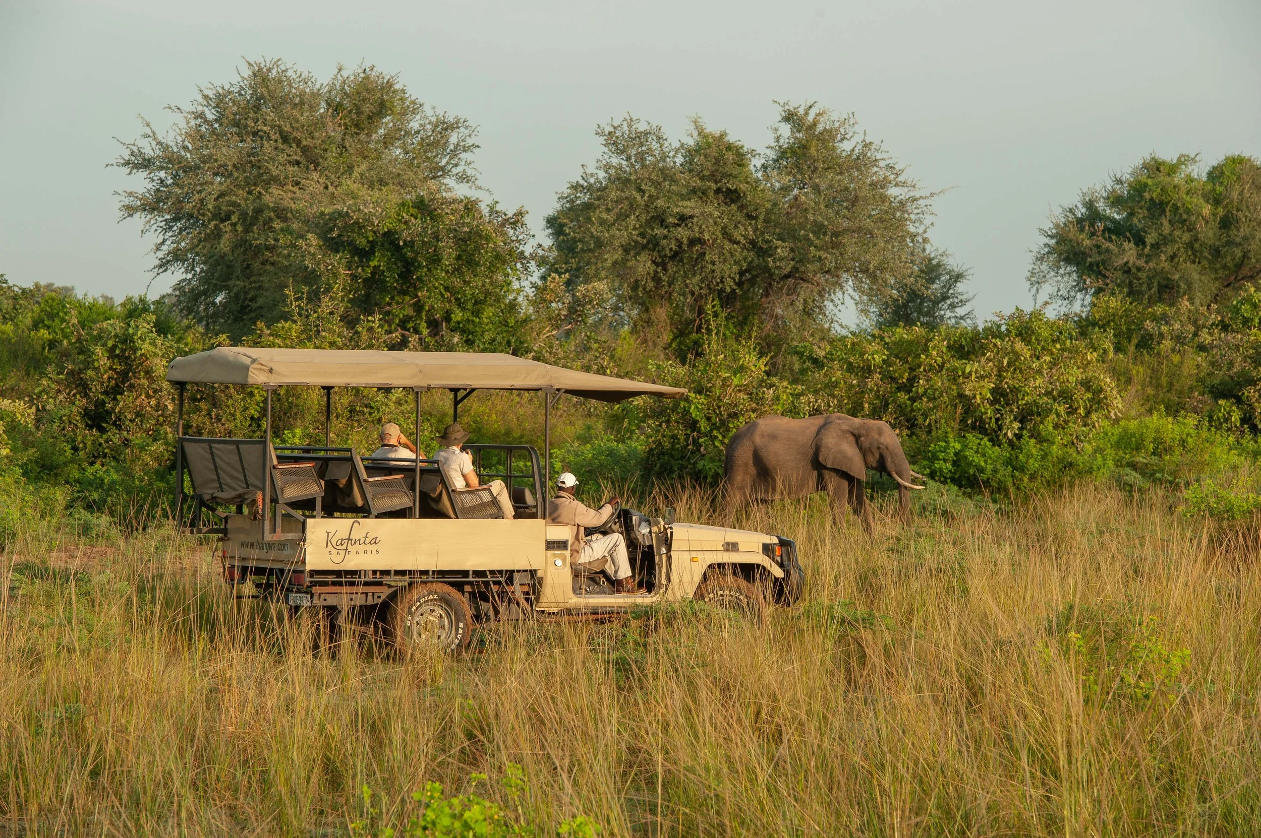 Tourists on safari vehicle observing an elephant in a grassy field with trees in the background.