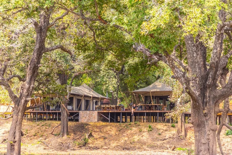 Let Dave Travel Agency & Tours guide you to the heart of the wild featuring premium stays at Painted Dogs Lagoon.
