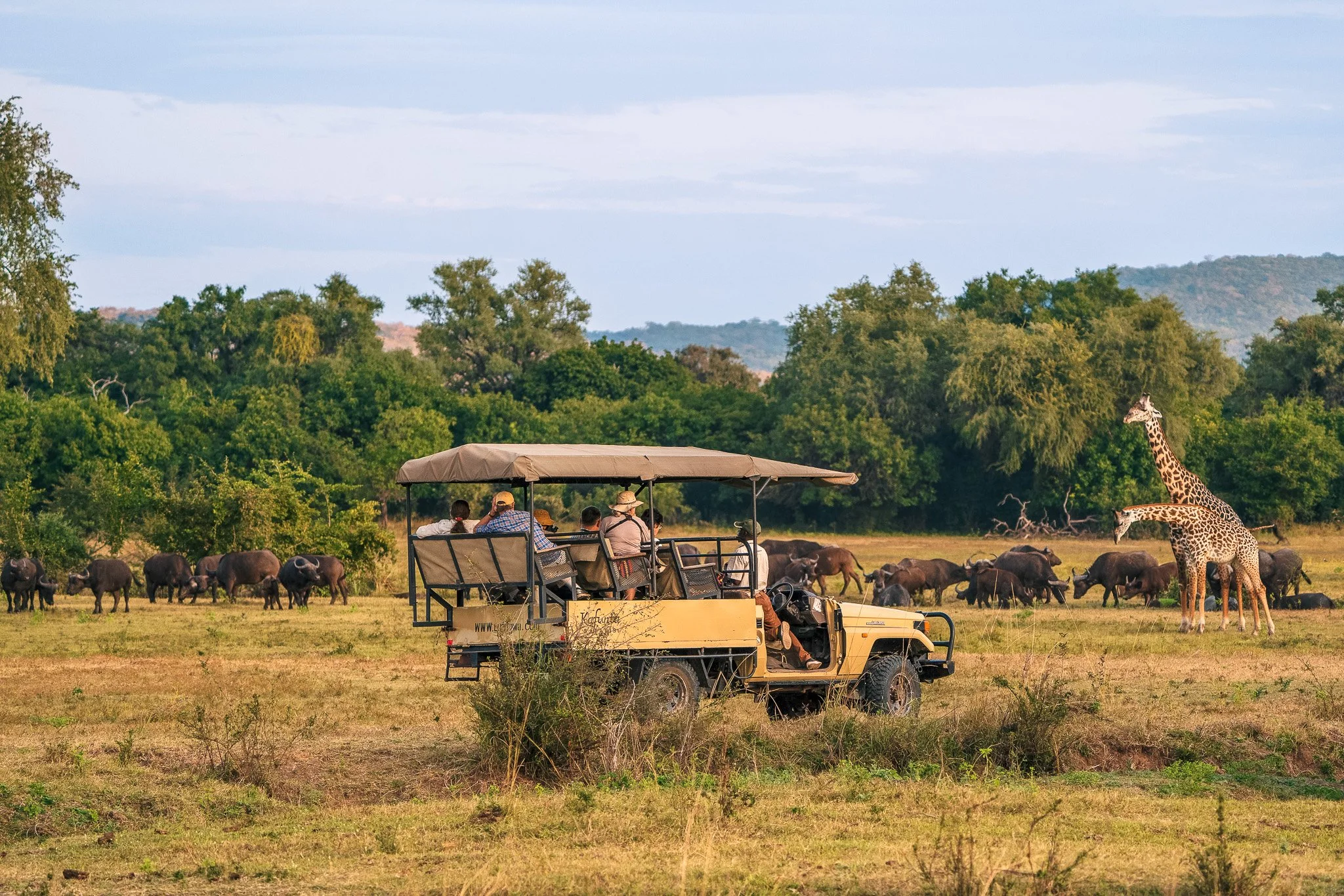 Elite Guidance: 
Private safari vehicles paired with expert local guides for up-close encounters.