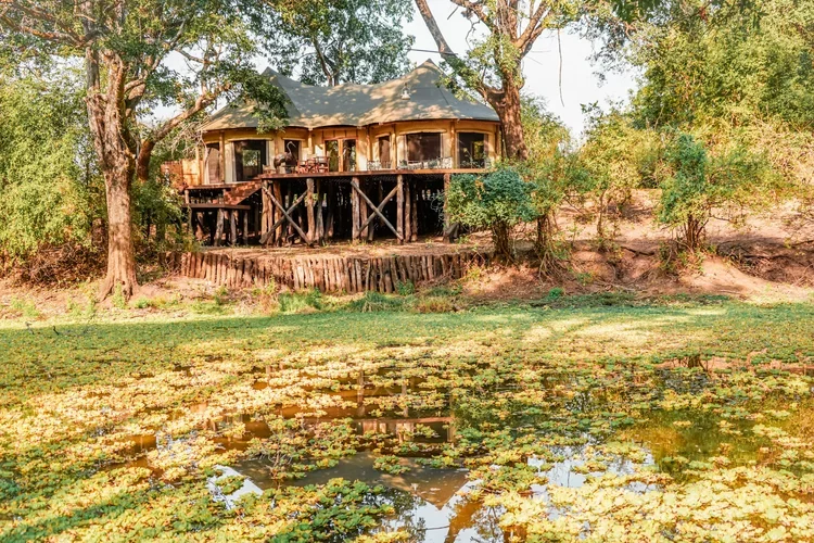 A treehouse built on stilts over a pond, surrounded by trees and greenery.