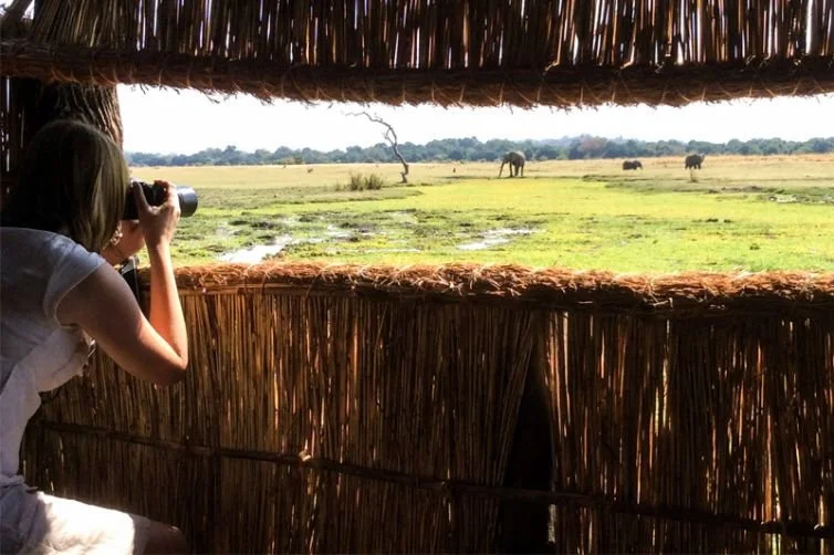 A woman sitting in a thatched hut taking photos of elephants in a grassy wildlife reserve.