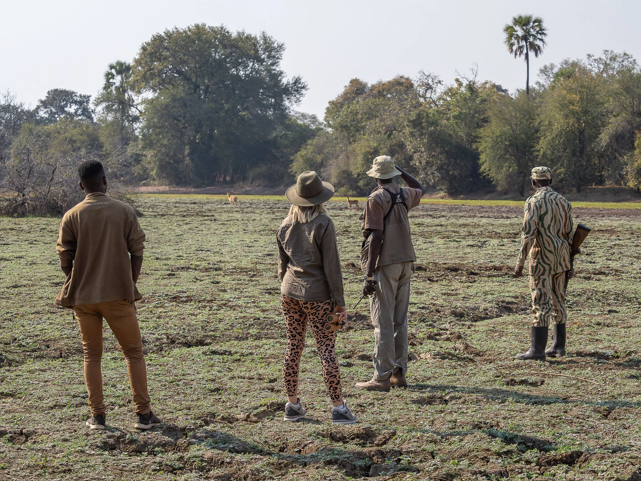 Four people stand outdoors in a grassy area with trees and bushes, observing two animals in the distance. They are dressed casually with hats, and one person carries a camera. One person is in a camouflage outfit and holding a rifle.
