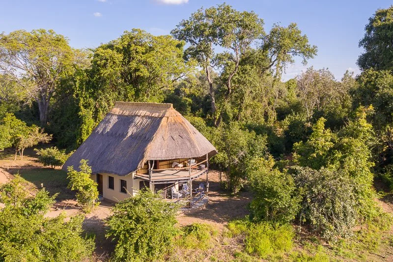 A thatched roof hut surrounded by trees and greenery in a natural setting.