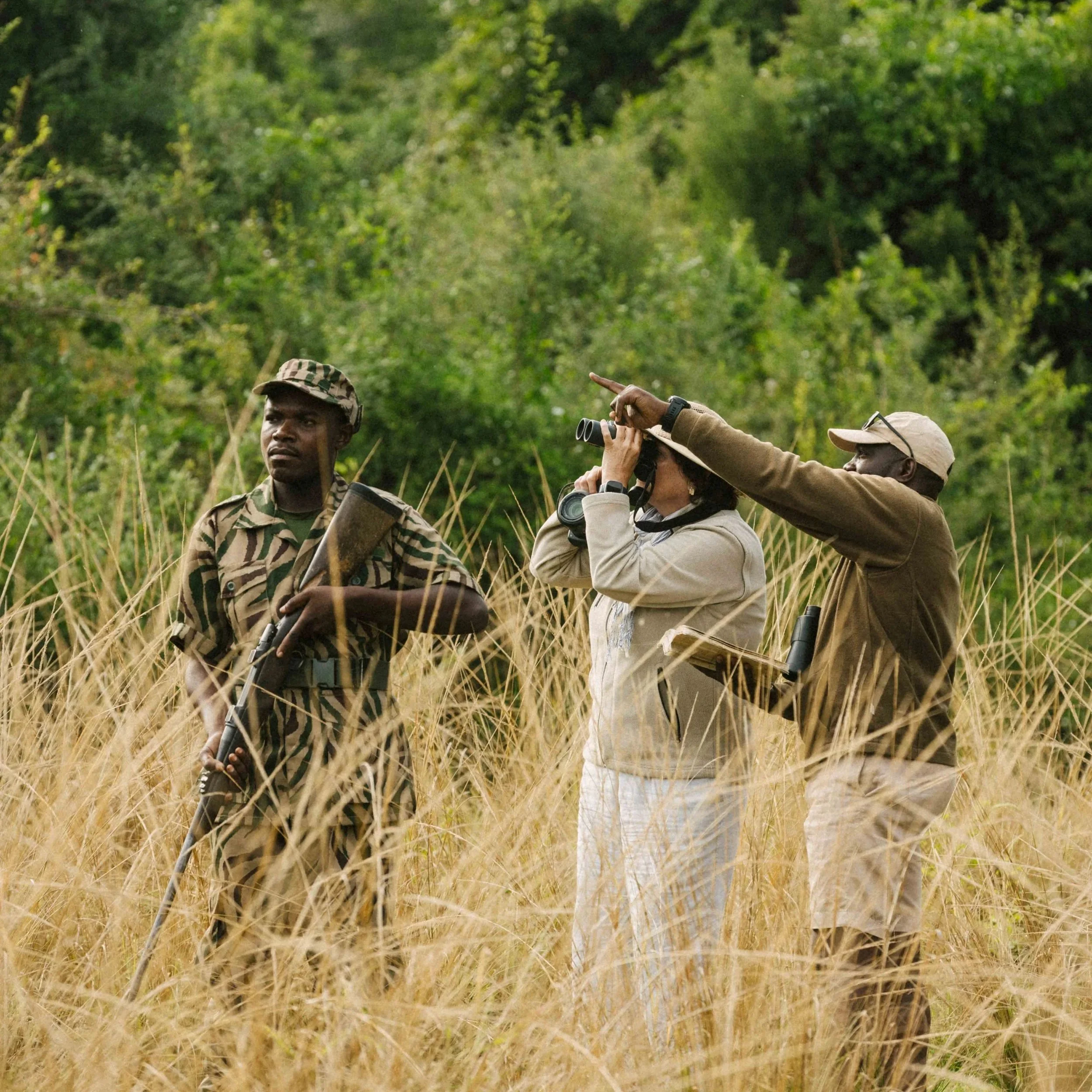 Group of people outdoors in a field with tall grass, some wearing hats and binoculars, looking and pointing at something in the distance.