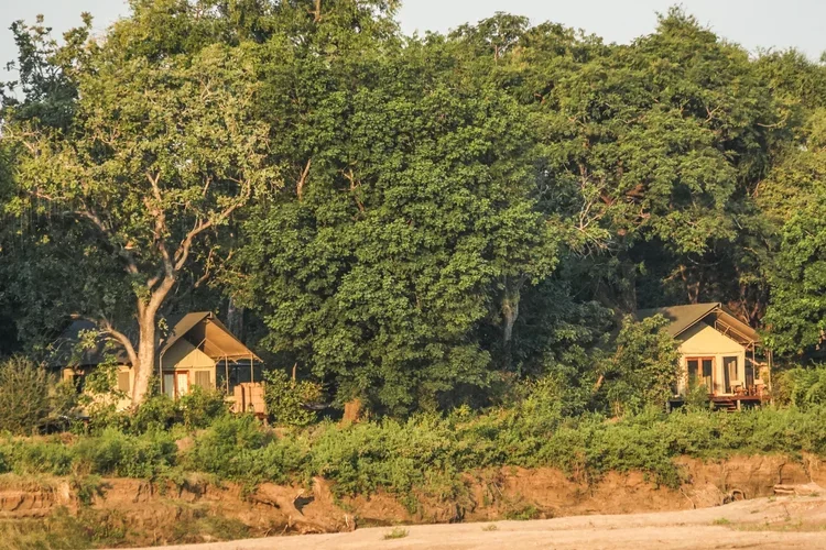 Two small houses surrounded by large trees and greenery near a sandy area.