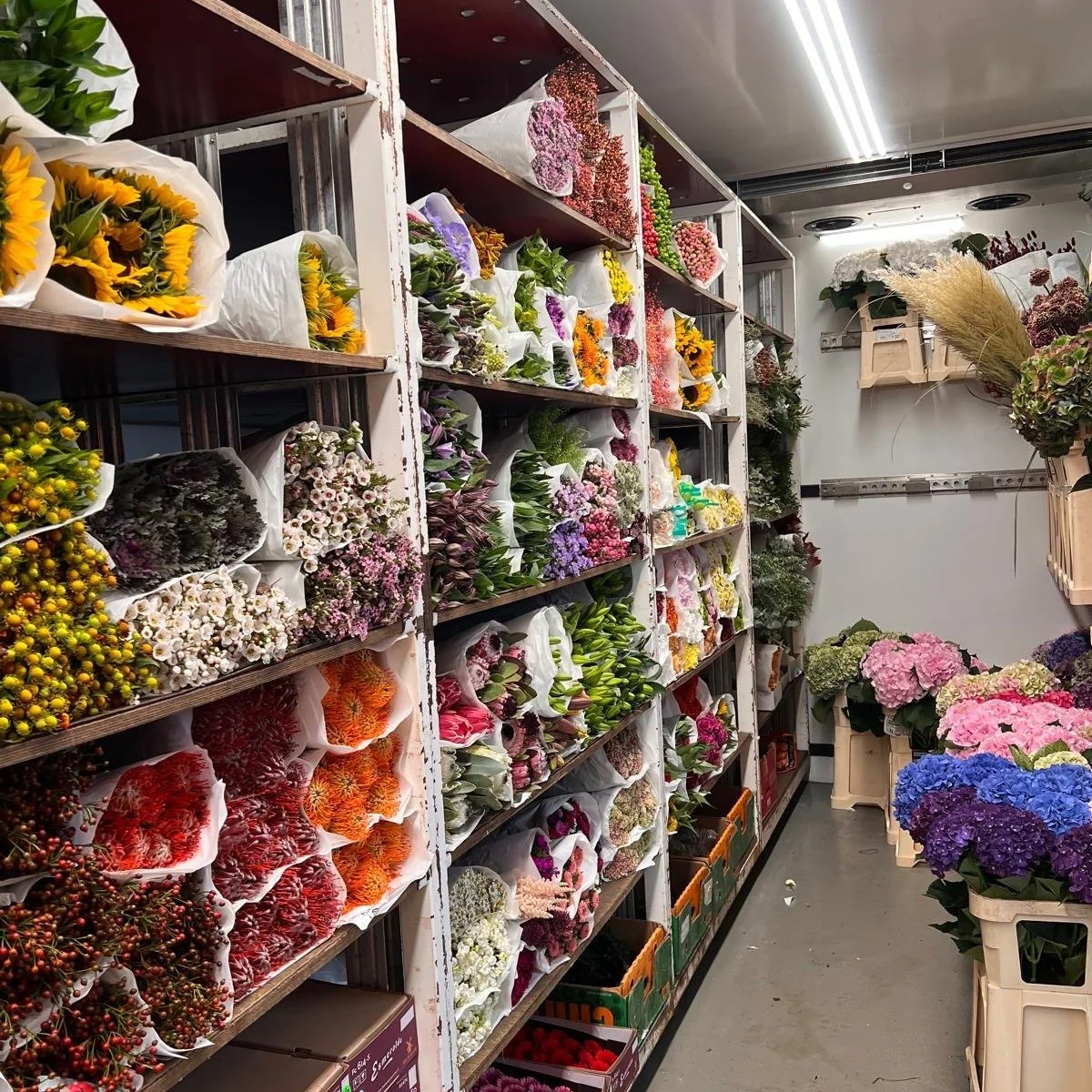 Wenn der Nachschub direkt vor der T&uuml;r h&auml;lt &hellip; 😍🌸 Der Musketier bringt uns die sch&ouml;nsten Blumen &ndash; und wir haben nat&uuml;rlich keine Sekunde gez&ouml;gert! 💐✨
Danke @musketierblumen