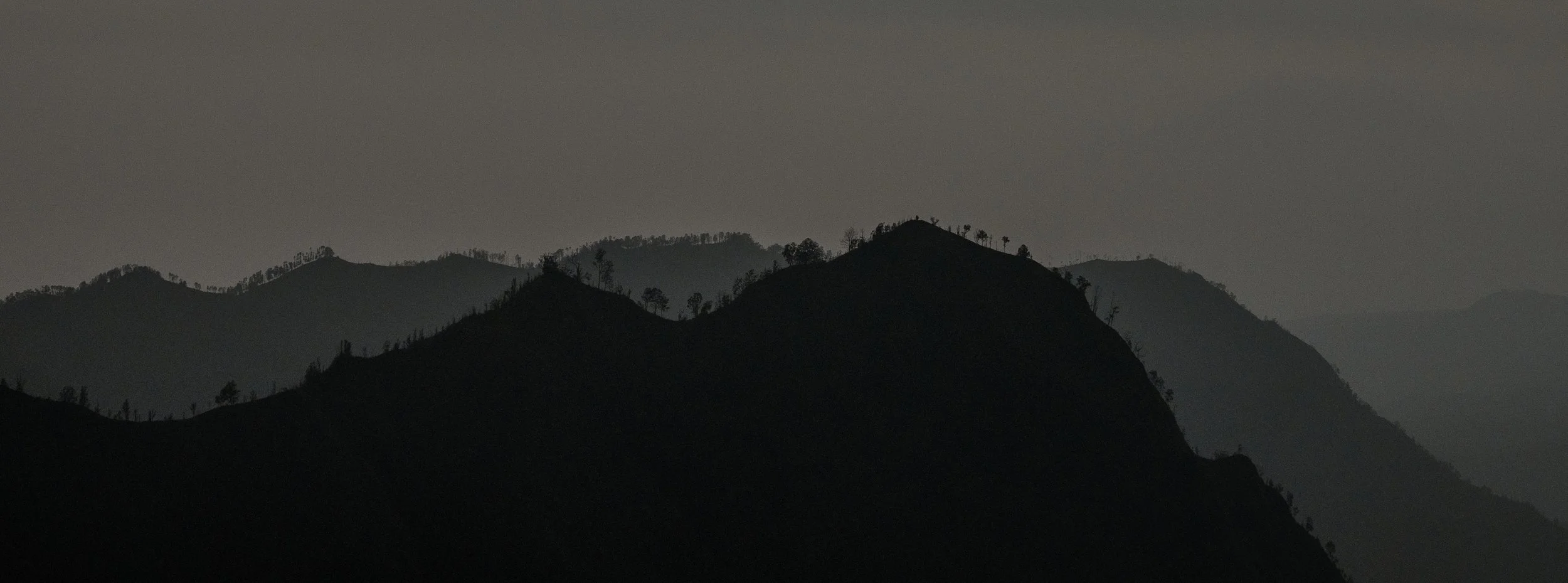 DSC09113 2.jpg
