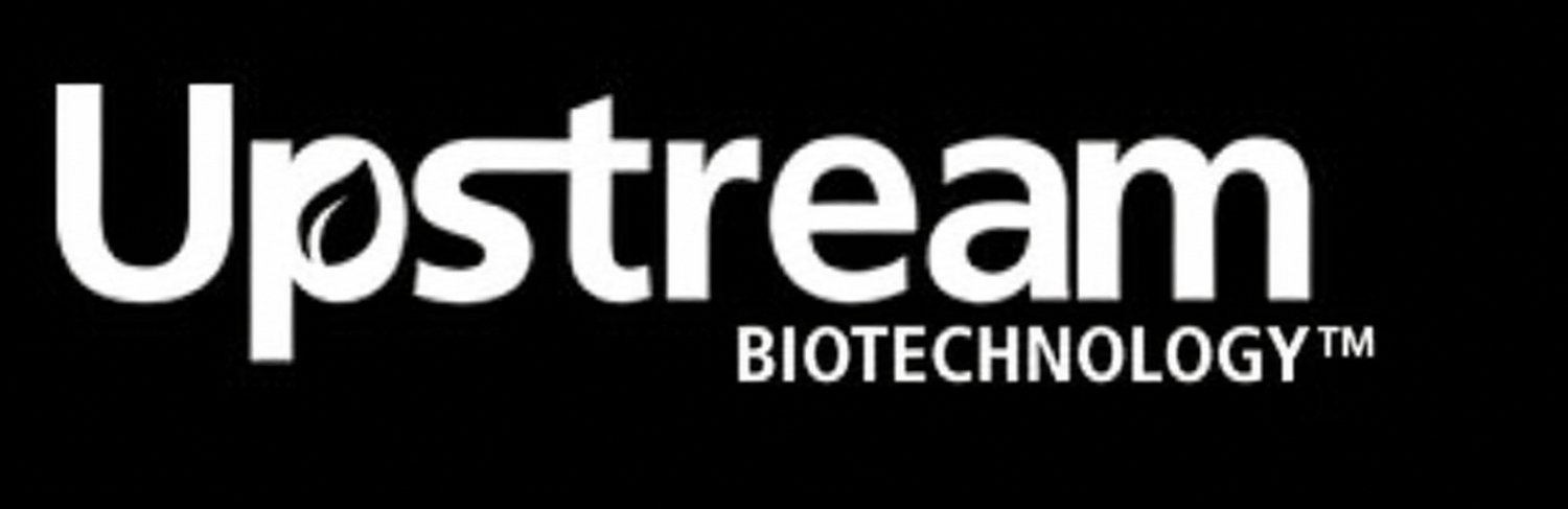 Upstream