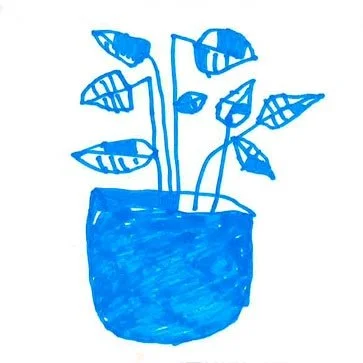 Disegno di una pianta in un vaso blu, con foglie di varia forma e dimensione.