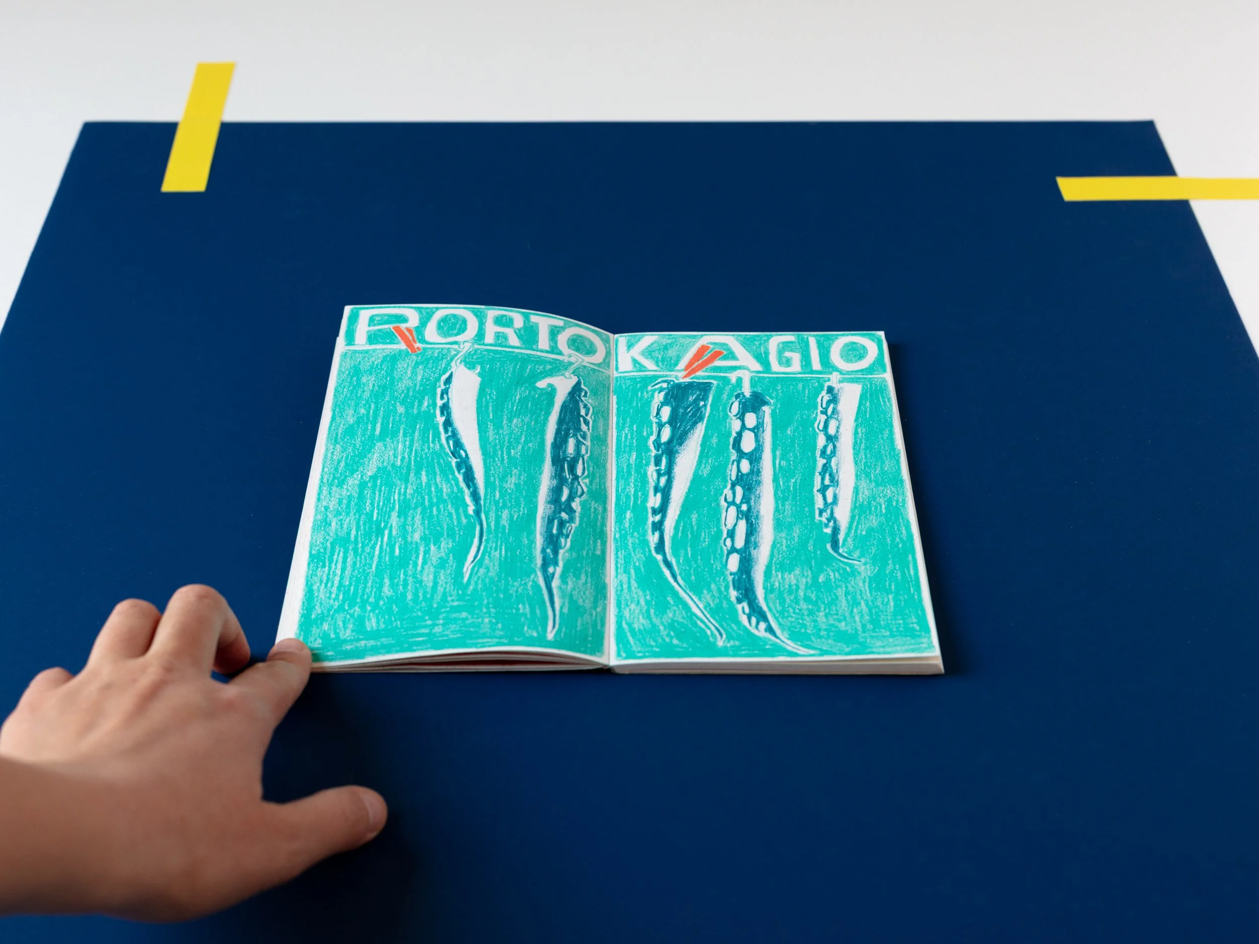 Libro aperto con illustrazione di polpi a essiccare e testo 'PORTO KAGIO'.