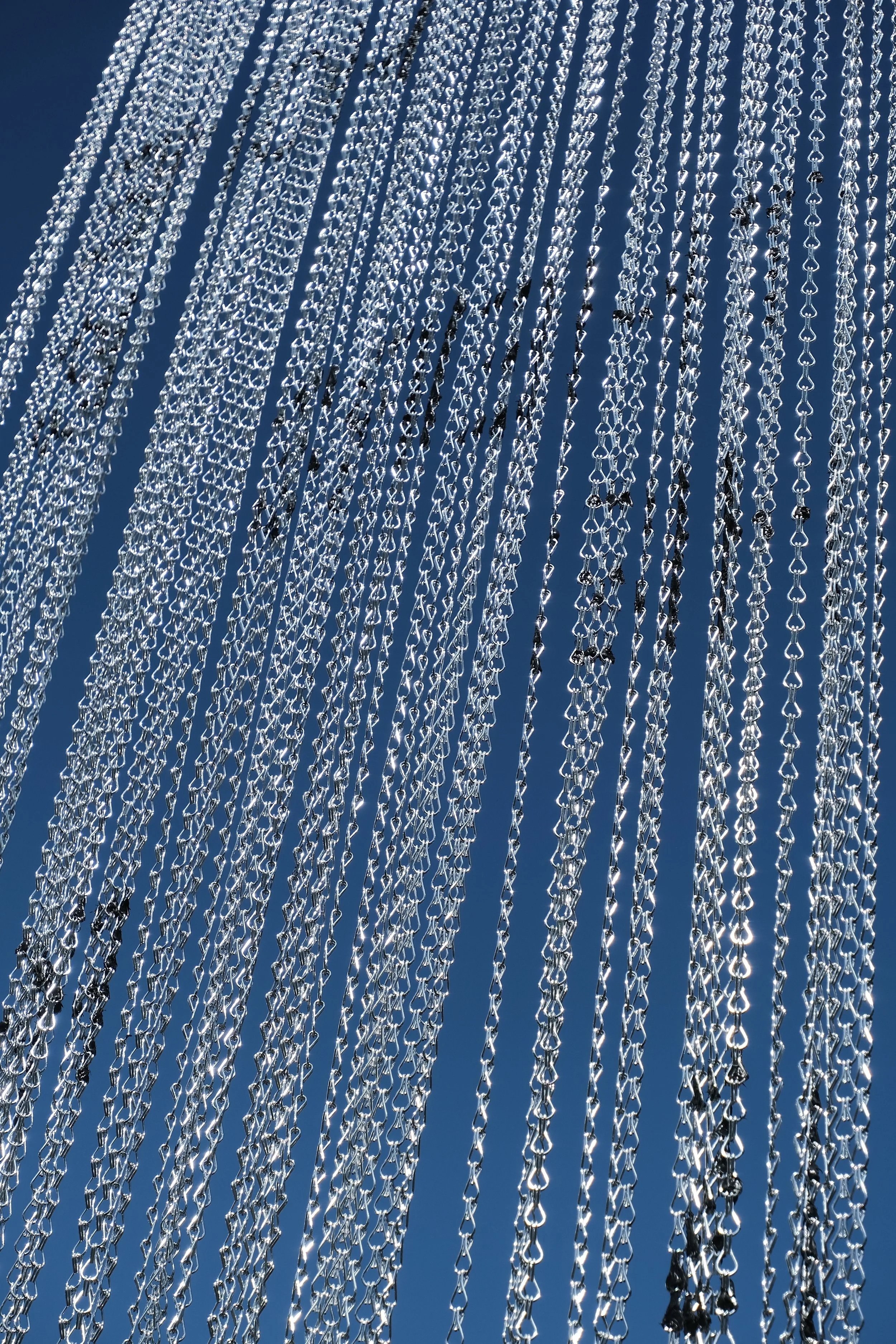 DSCF7386.jpg