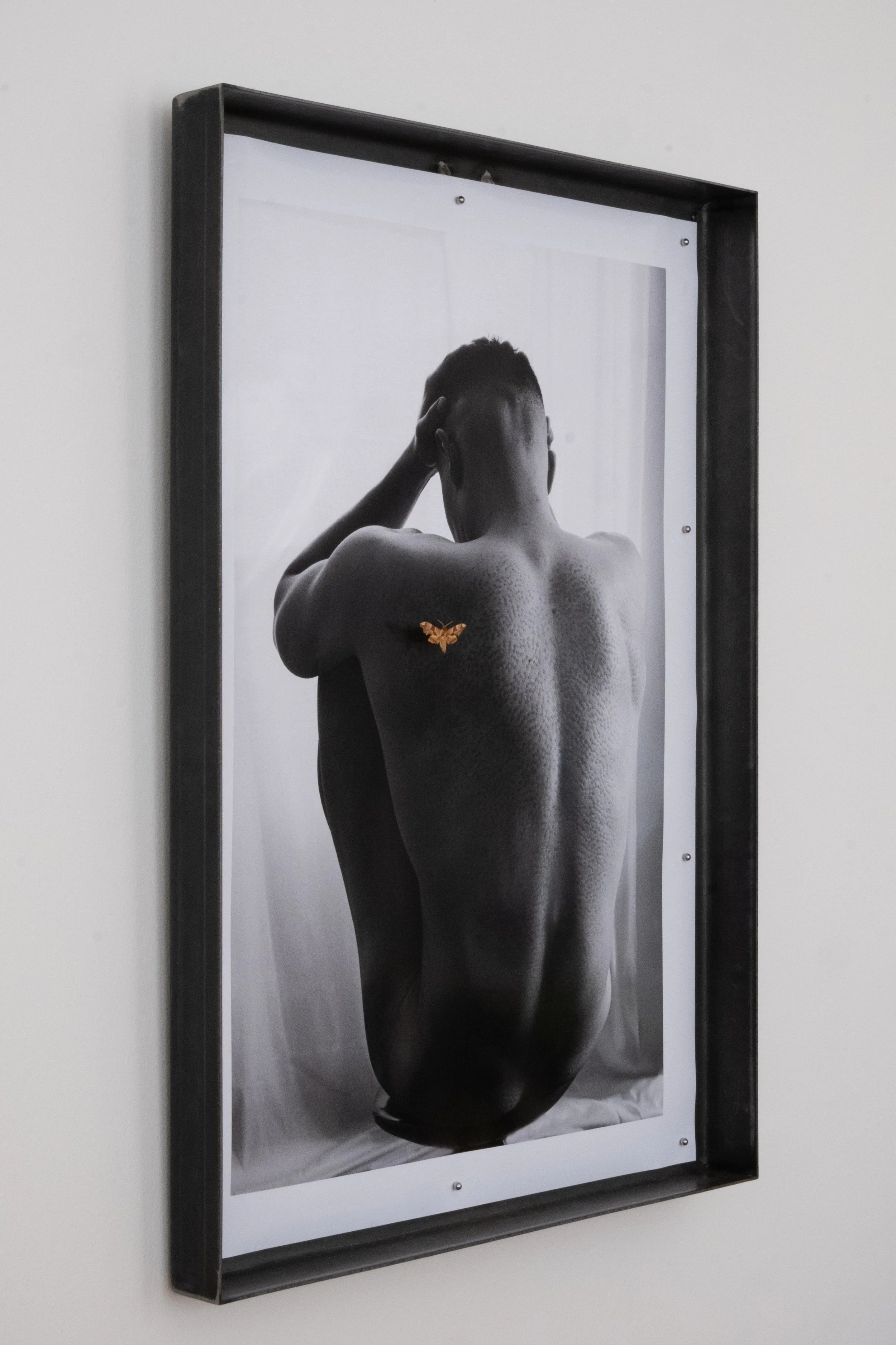 The Print Of His Body Plan, 2026