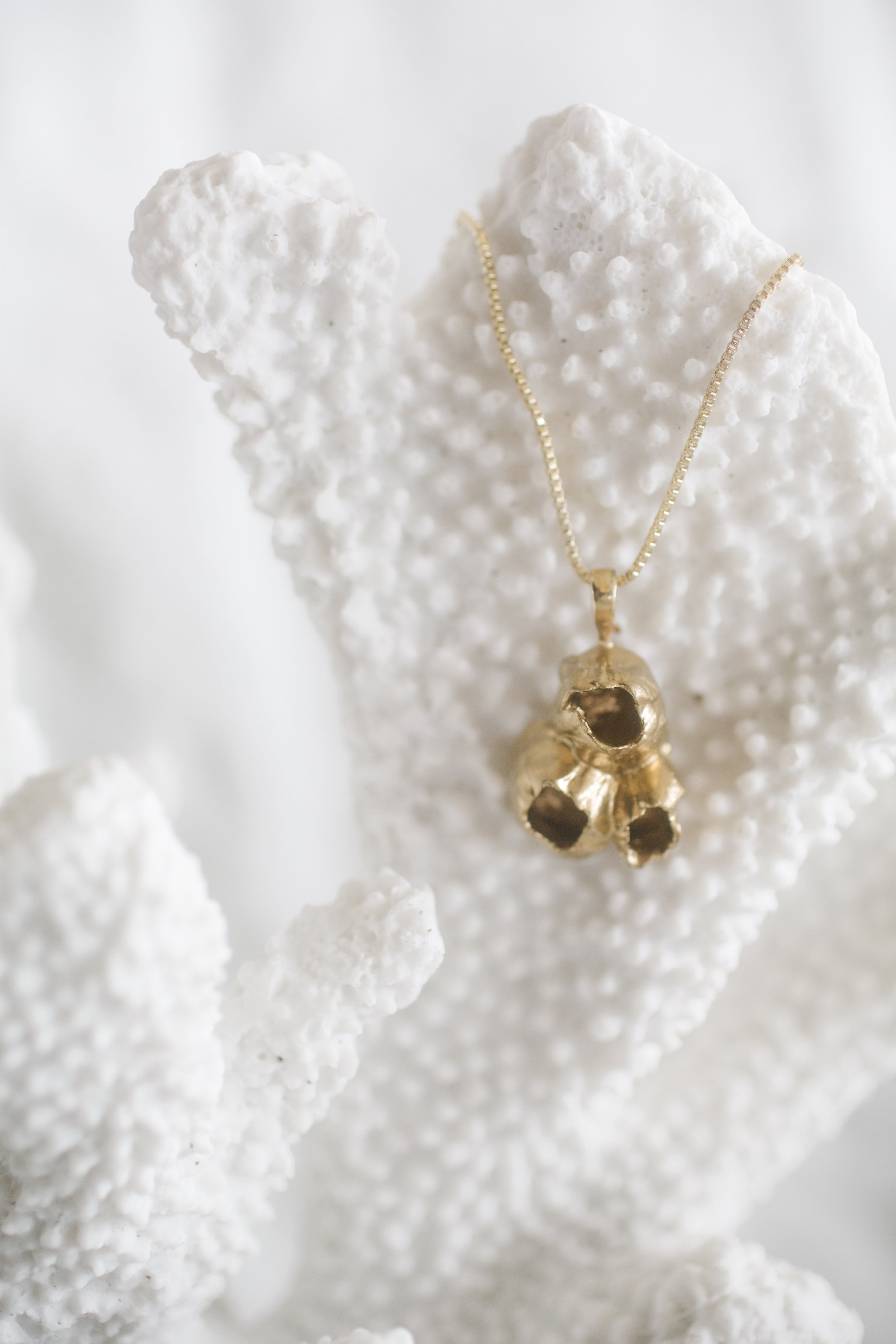 Close-up of a gold necklace with a skull pendant, displayed on a white textured coral piece.