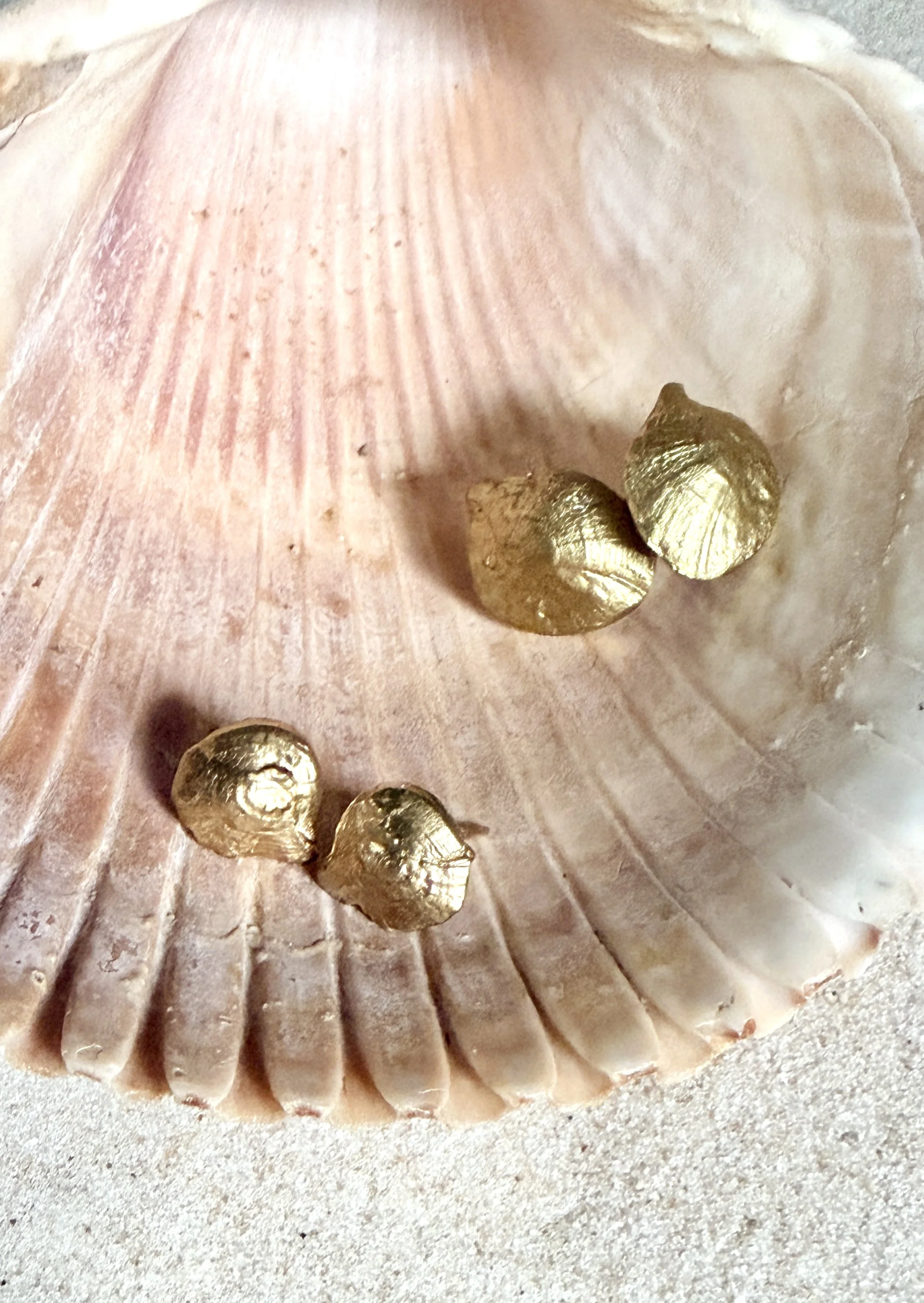 Close-up of pink seashell with several gold metallic shells placed on top, resting on a sandy surface.
