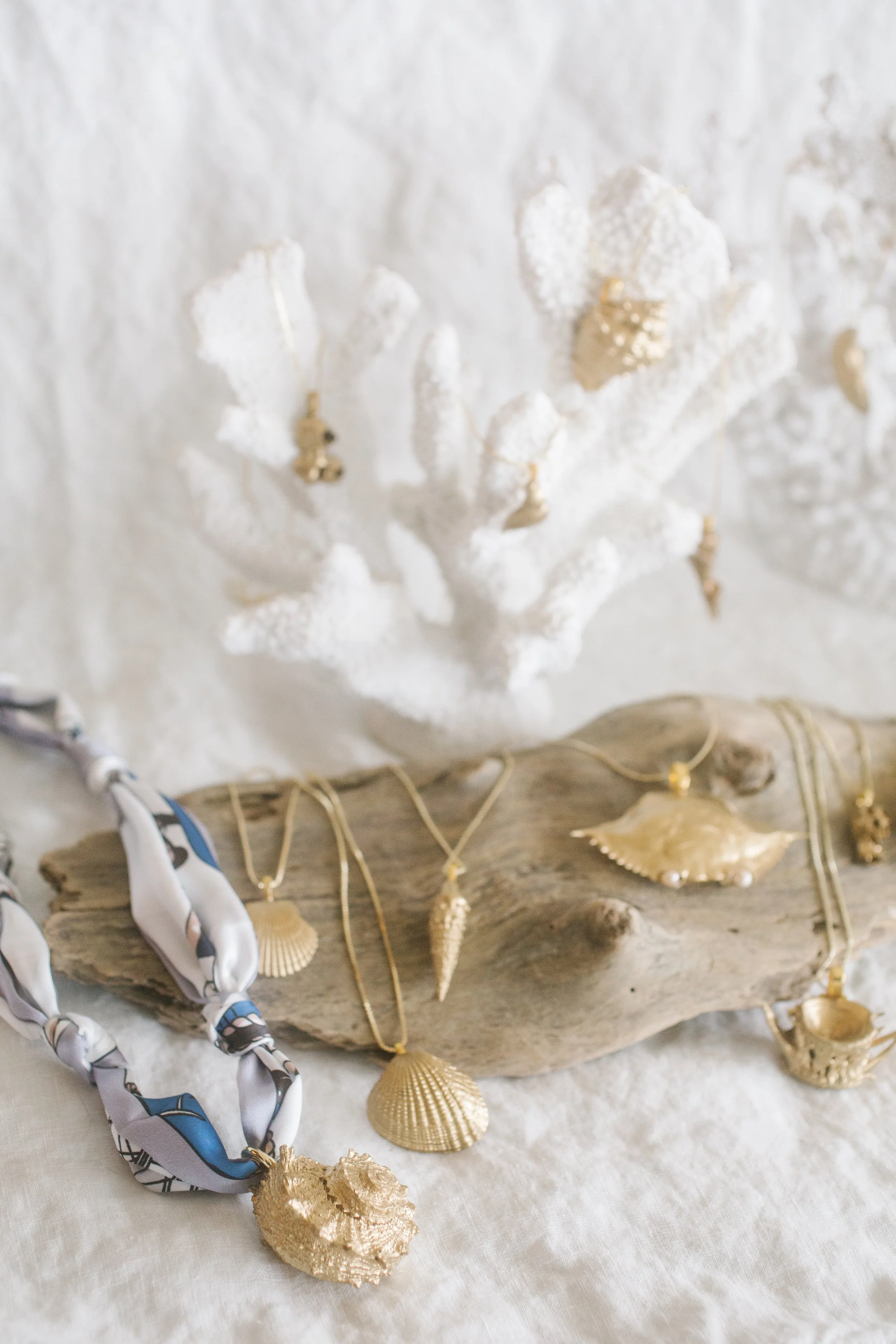 Collection of gold seashell jewelry displayed on a piece of driftwood and white fabric background.