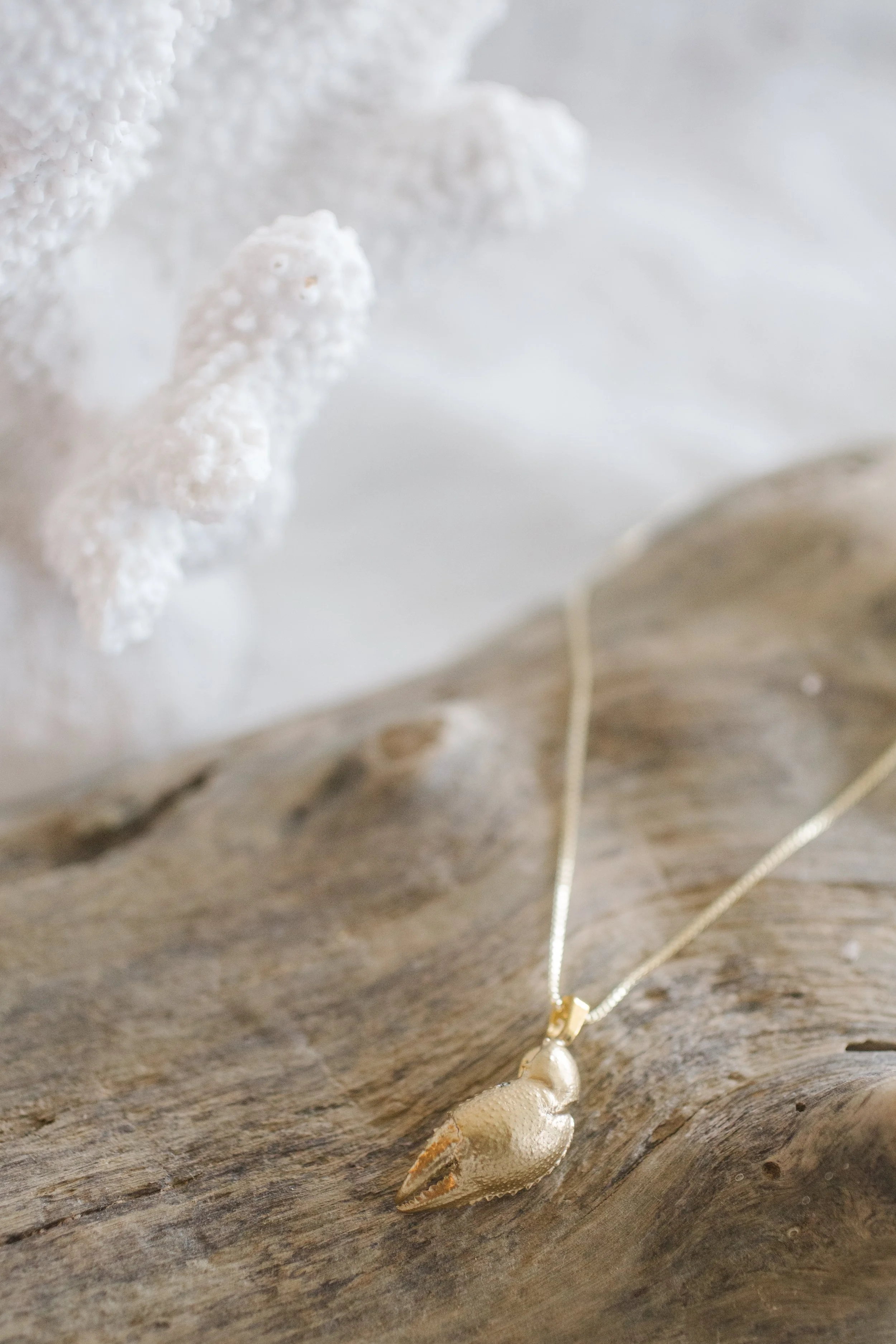 Close-up of a gold necklace with a pearl pendant resting on a weathered wooden surface, with soft focus background.