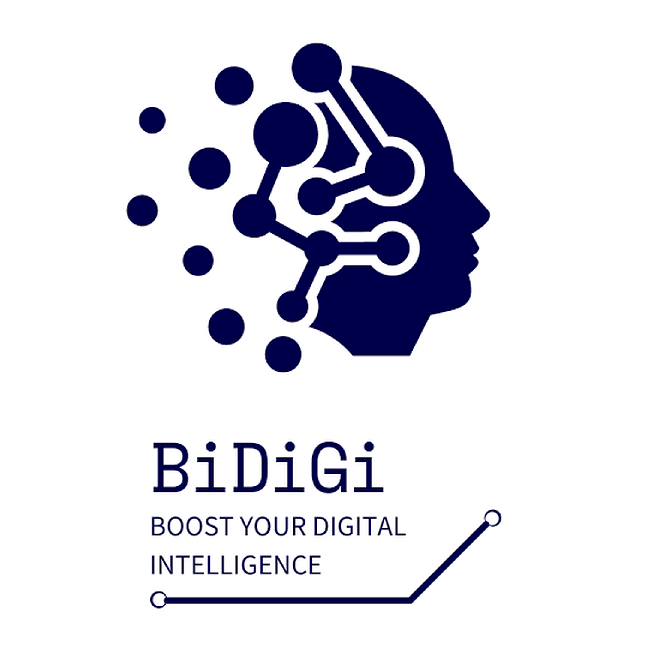 Logo with text 'PiditG' and tagline 'Boost your digital intelligence' in navy blue on white background.