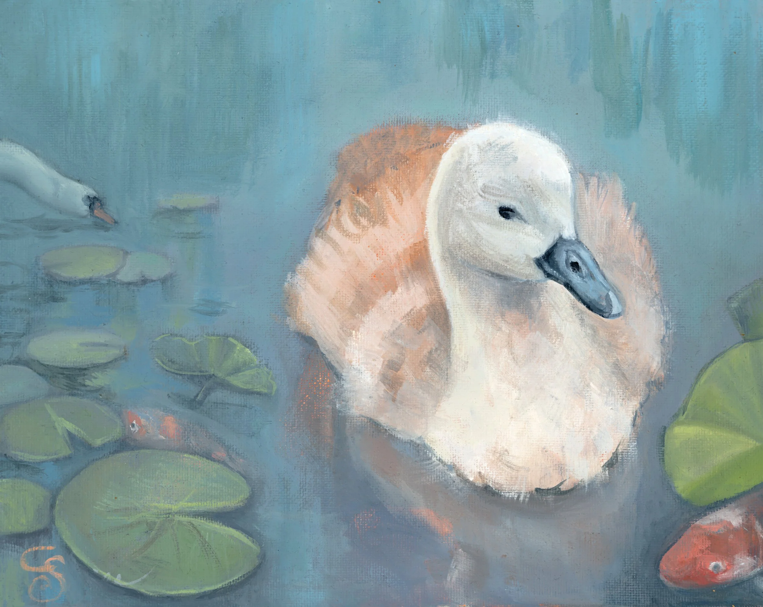 The Pond.jpg