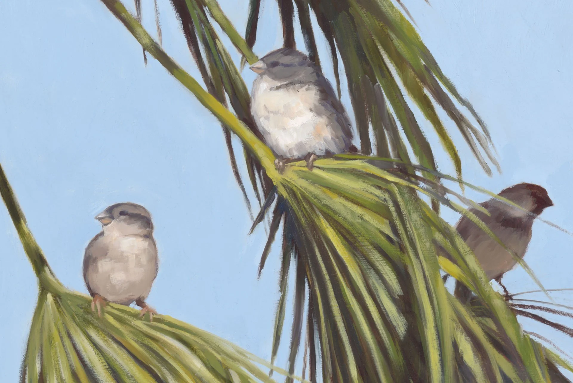 ThreeLittleBirds_600.jpg