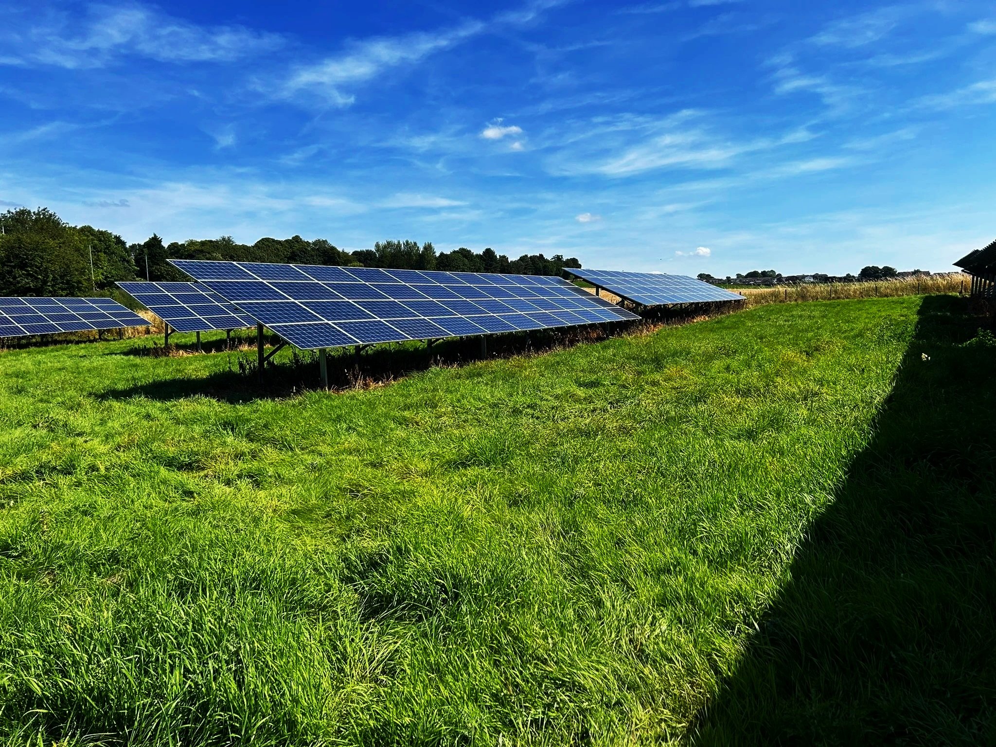 Solar panels installed in a grassy field under a blue sky with few clouds.