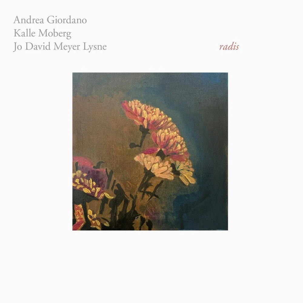 Andrea Giordano,  Kalle Moberg, Jo David Meyer Lysne - Radis / Co-Recorded / 2026 Black Truffle