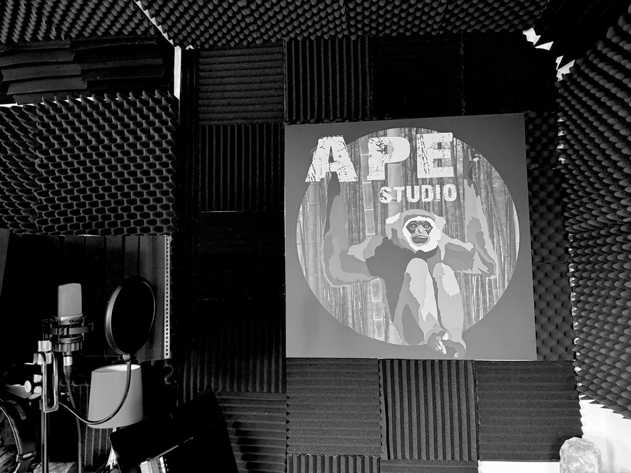 Ape Studio UK Singing booth