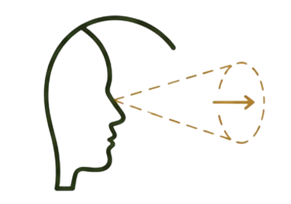 A diagram of a human head profile with an illustration of the brain's neural pathways connecting to a camera lens, representing thought processing or visual perception.