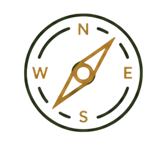 A compass with a white face, gold needle, and cardinal directions N, S, E, W marked in gold, set on a black background.