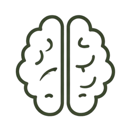 Line drawing of a human brain
