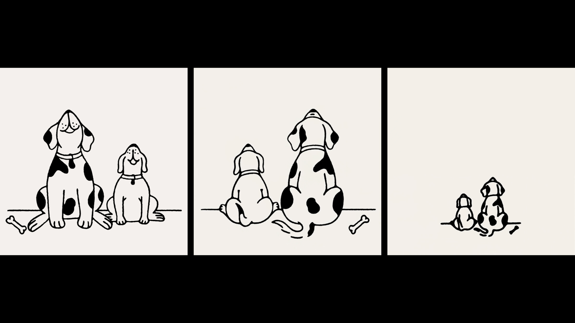 Similar Comp - 3.gif
