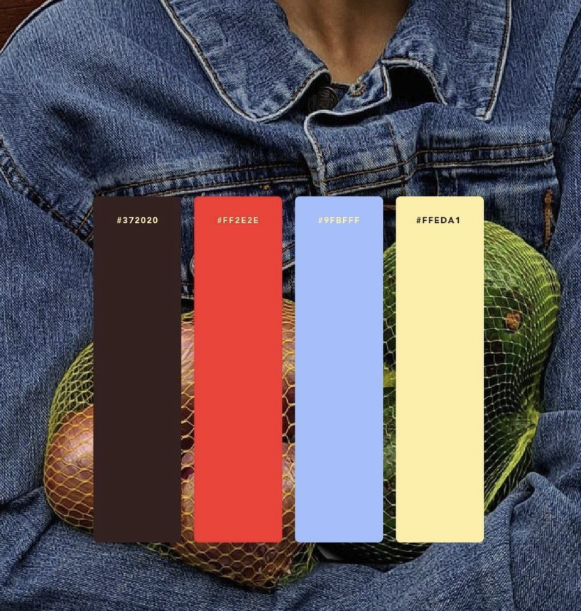A close-up of a person wearing a denim jacket, holding a mesh bag filled with apples. Overlaying the image are four vertical color bars labeled with hex color codes: dark brown, red, light blue, and pale yellow.