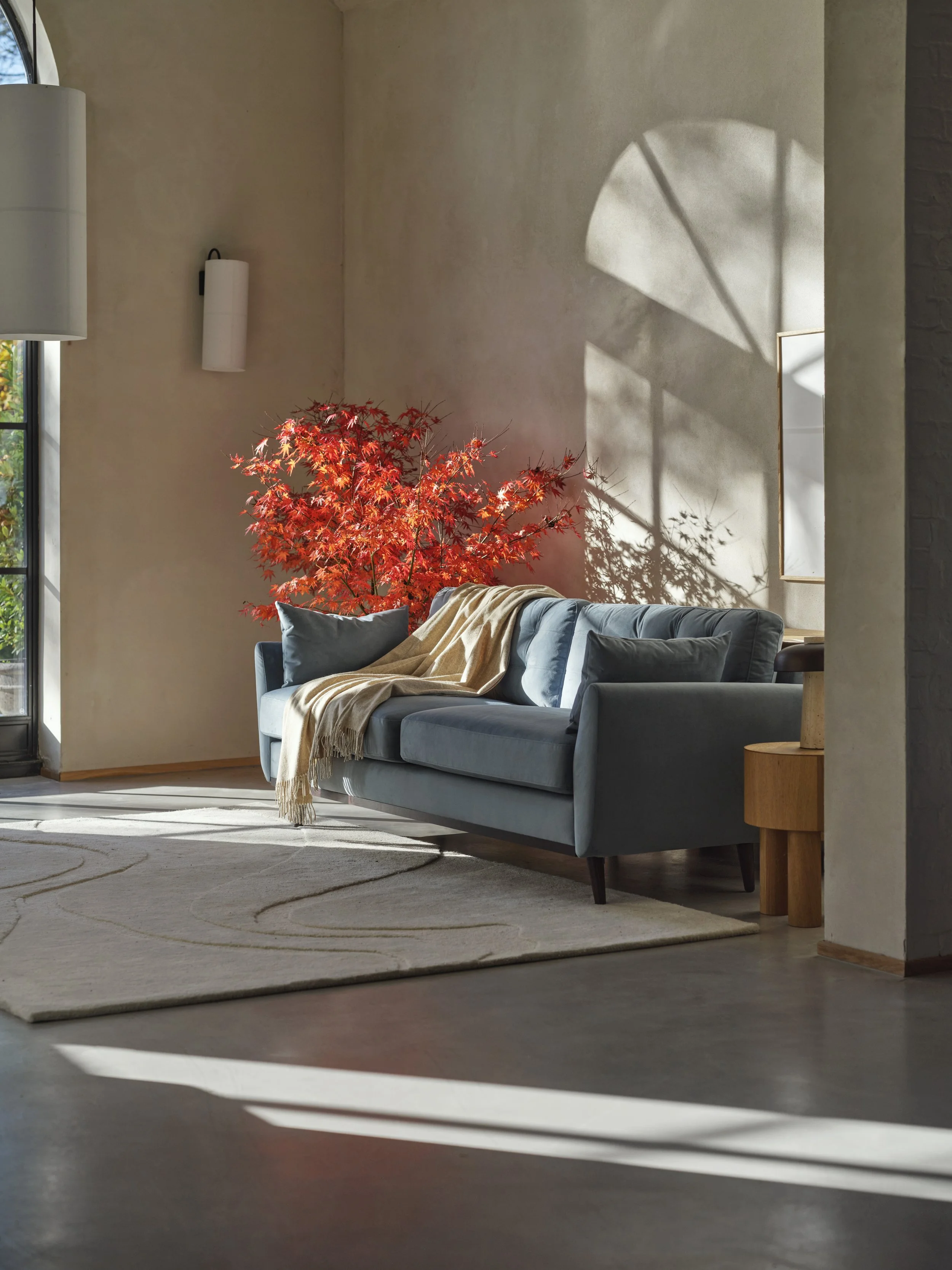 A cozy living room corner with a gray sofa, a beige blanket, dark pillows, a vibrant red Japanese maple tree, a side table, a cream carpet with circular patterns, sunlit window with shadows, a white wall with a wall lamp, and a framed artwork.